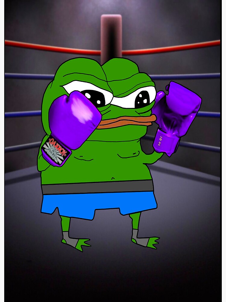 Pepe boxer store