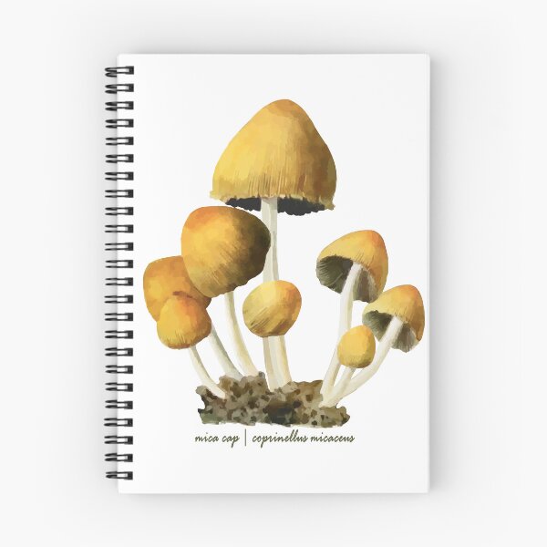 Item preview, Mica cap mushroom designed and sold by punchyflamingo.