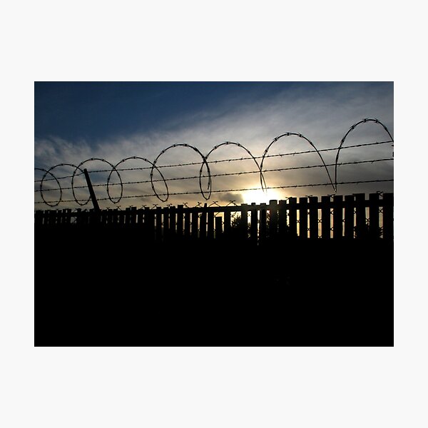 Item preview, " Barb Wire Sunset " designed and sold by waddleudo.