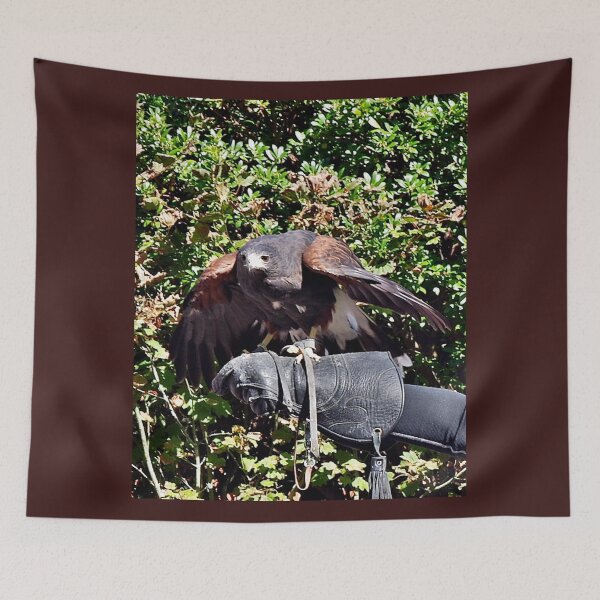 Item preview, Eagle Preparing designed and sold by VikingVisual.