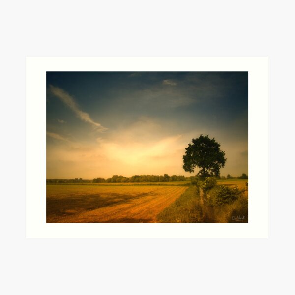 Tree Art Print
