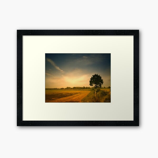 Tree Framed Art Print