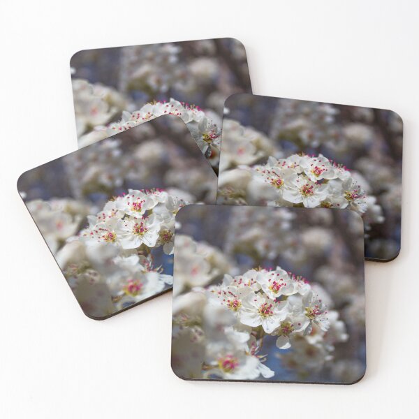 Item preview, Spring blooms designed and sold by Myvantagepoint.