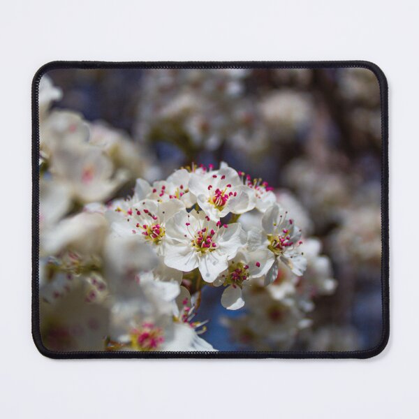 Item preview, Spring blooms designed and sold by Myvantagepoint.
