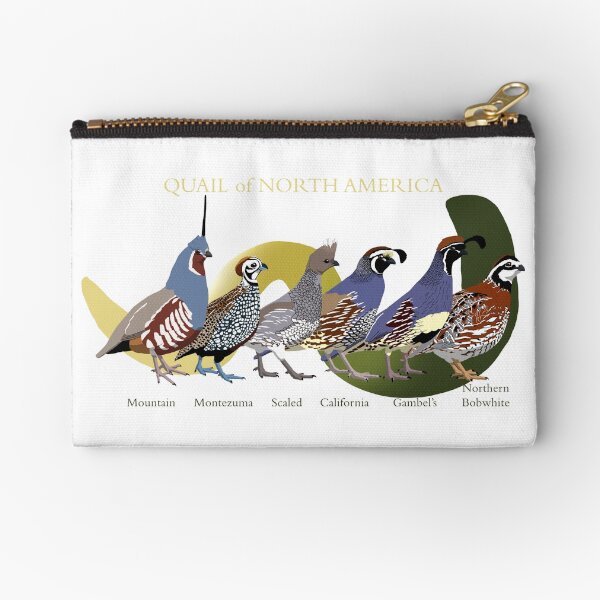 Item preview, Quail of North America (with text) designed and sold by BennuBirdy.
