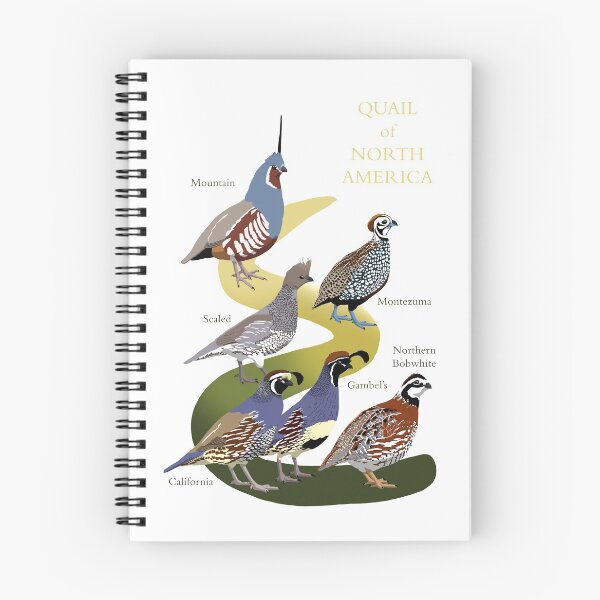 Item preview, Quail of North America (with text) designed and sold by BennuBirdy.