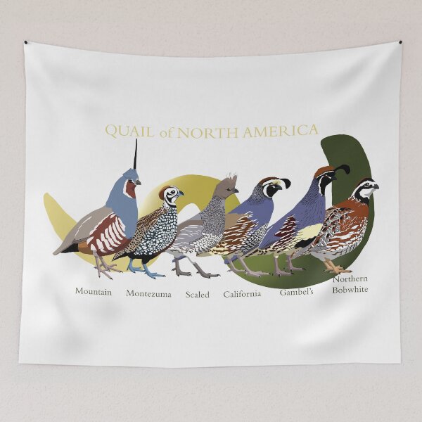 Item preview, Quail of North America (with text) designed and sold by BennuBirdy.