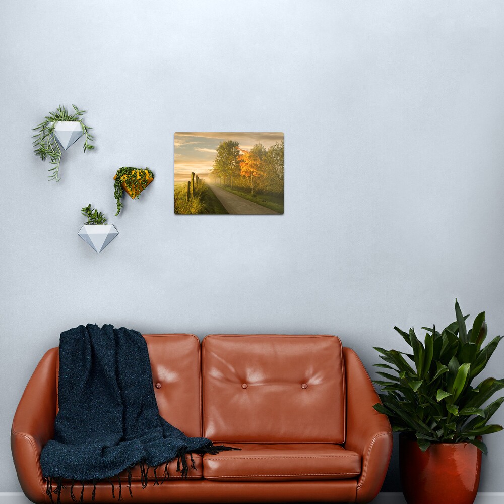 misty road Metal Print