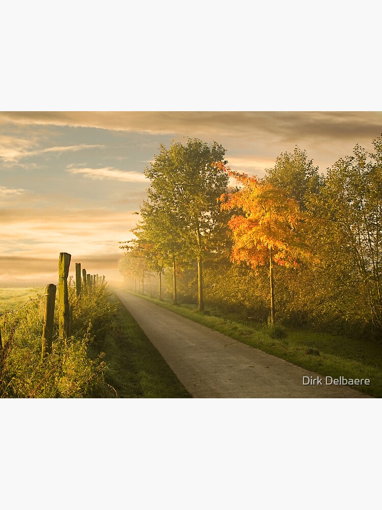 misty road by Delbaere