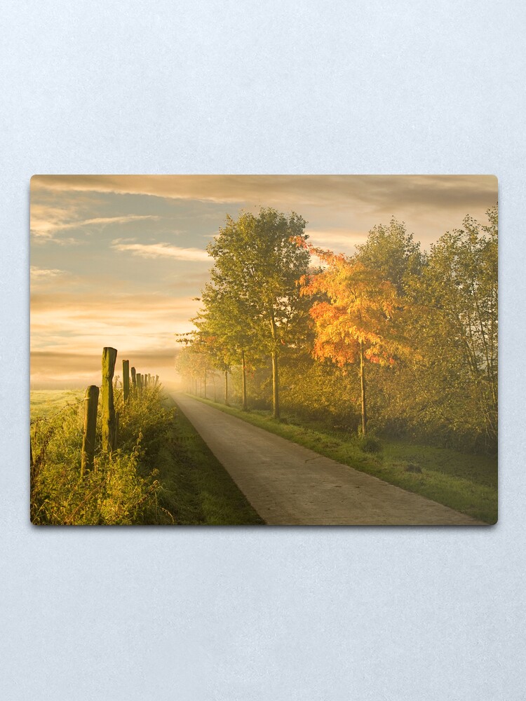 Alternate view of misty road Metal Print