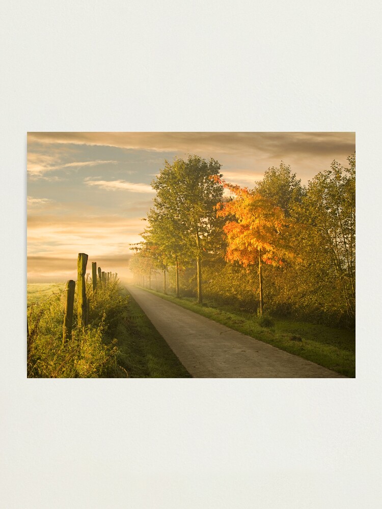 Alternate view of misty road Photographic Print
