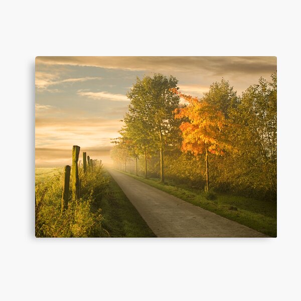 misty road Canvas Print