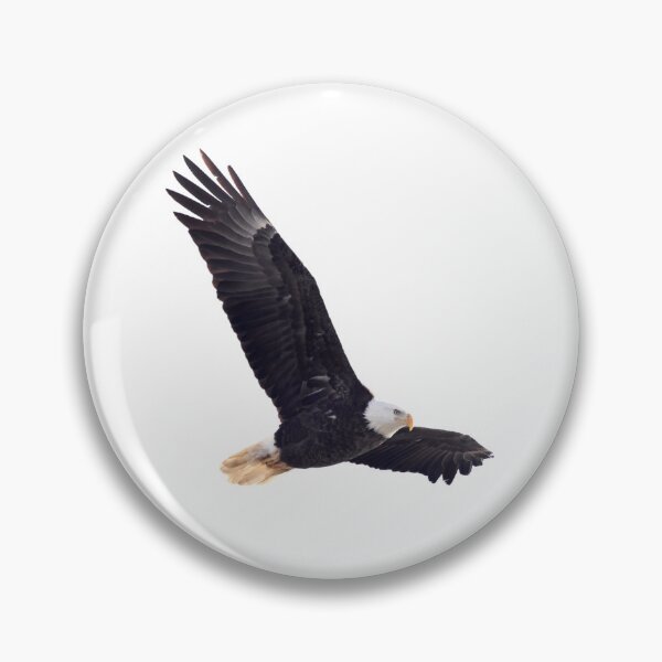 Item preview, Flying eagle  designed and sold by KRFNatureGifts.