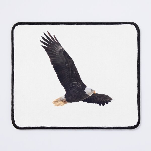 Item preview, Flying eagle designed and sold by KRFNatureGifts.