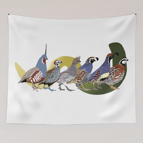 Item preview, Quail of North America (no text) designed and sold by BennuBirdy.