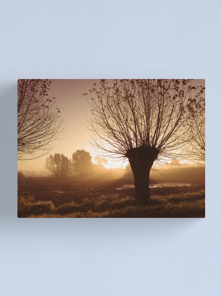 Alternate view of Willow Canvas Print