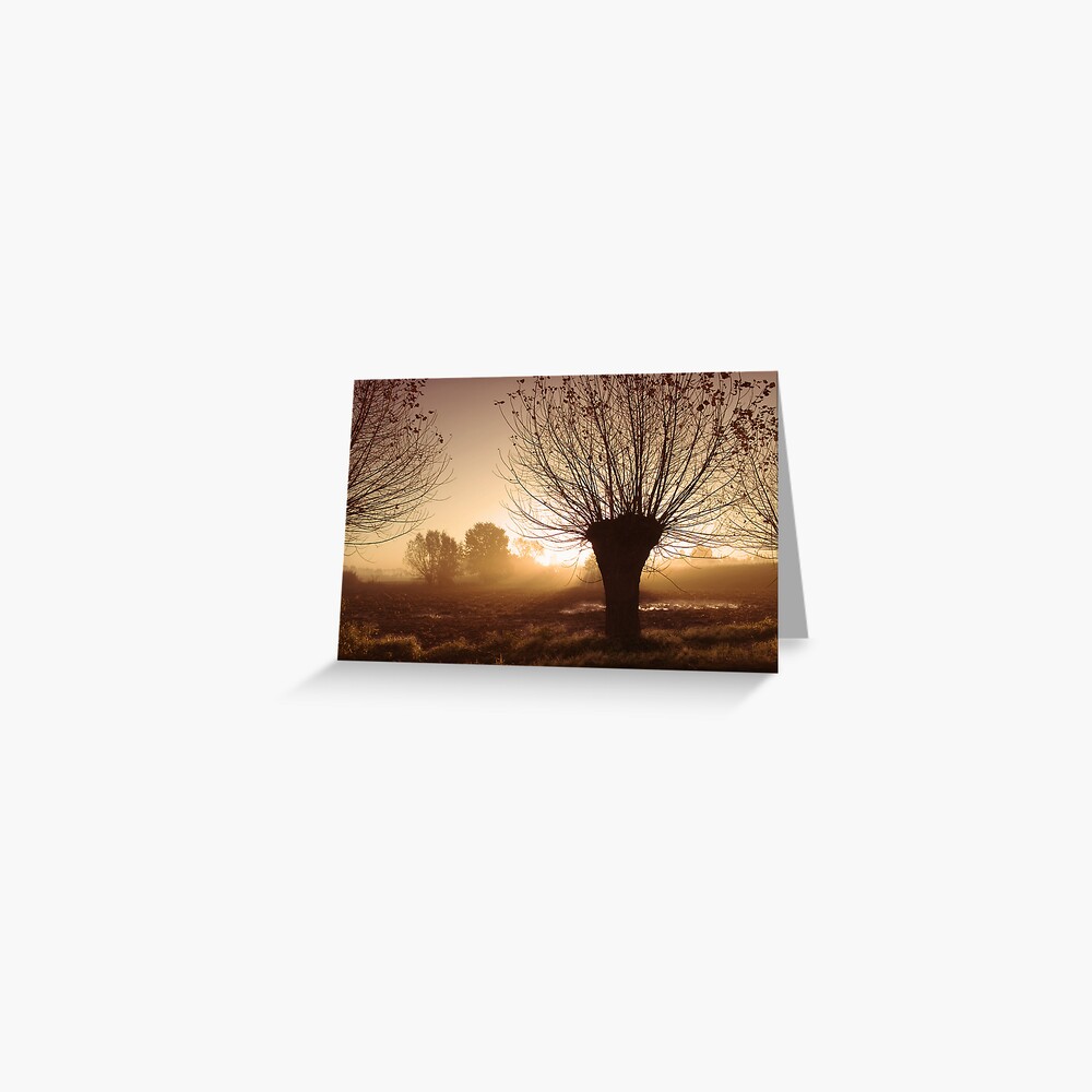 Willow Greeting Card