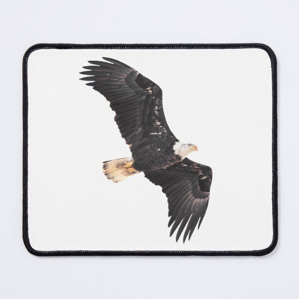 Item preview, Soaring eagle in flight designed and sold by KRFNatureGifts.