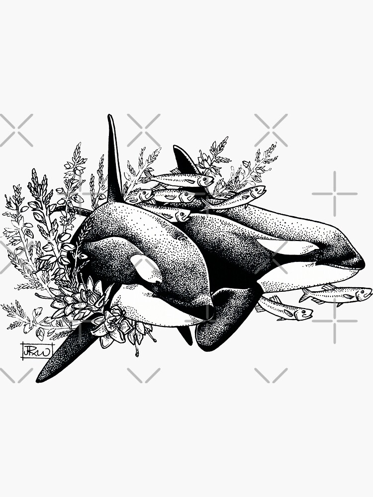 Orcas of Norway by jenrichards