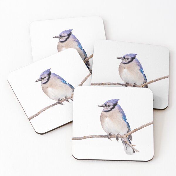 Item preview, Blue jay perching on a branch designed and sold by KRFNatureGifts.