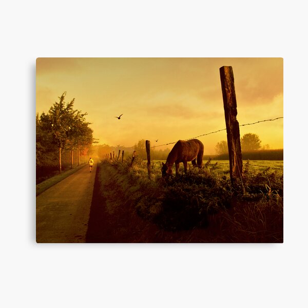 grazing Canvas Print