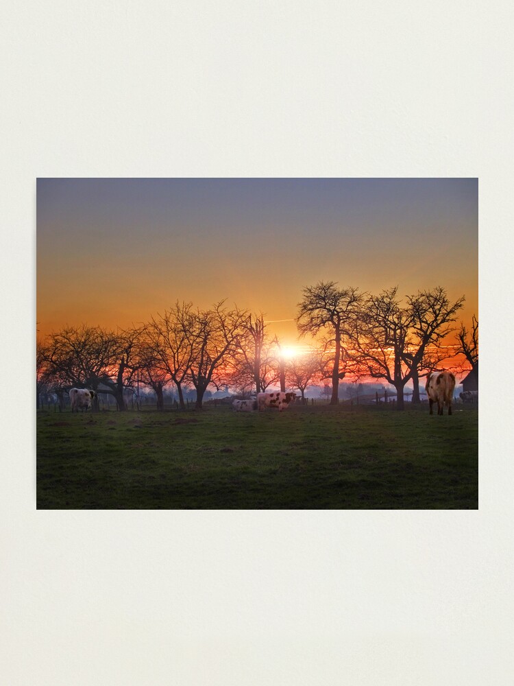 Alternate view of Meigem Photographic Print