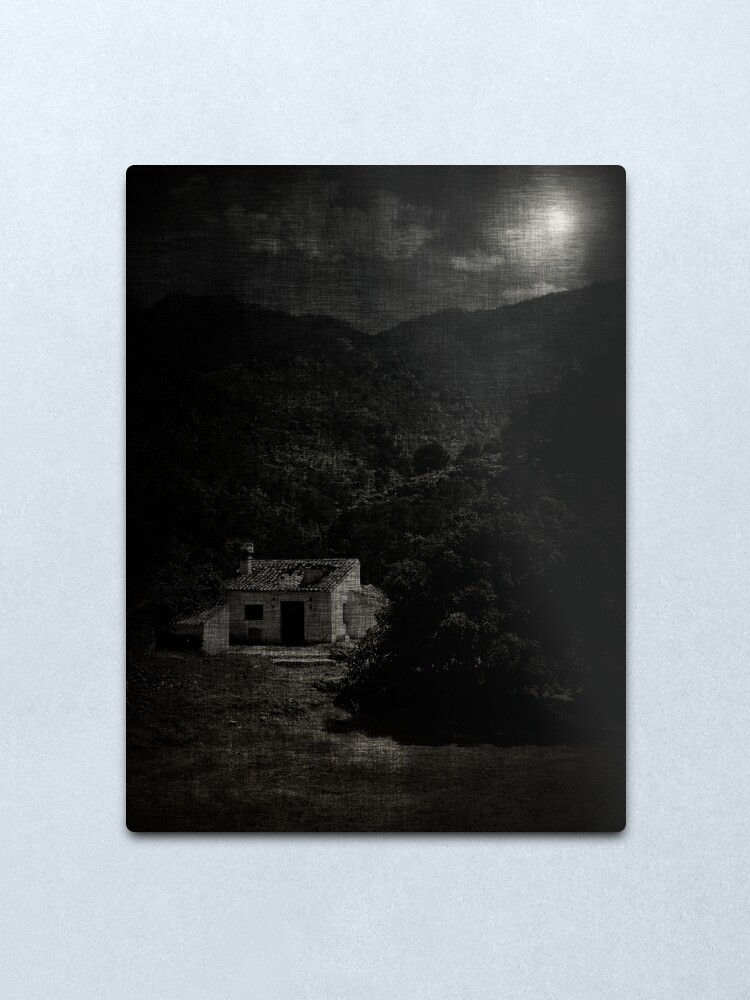 Alternate view of house; moonlight Metal Print