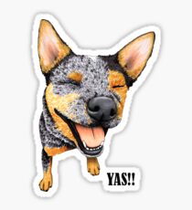 Australian Cattle Dog YAS, by Artwork by AK Sticker