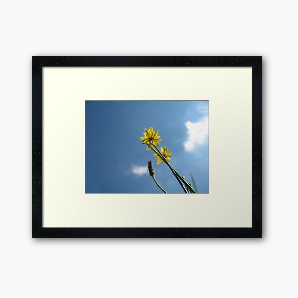 Lofty Fuzzy Notion Framed Art Print