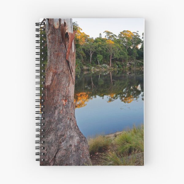 Item preview, Lake Parramatta Morning designed and sold by Nicholas Blackwell.