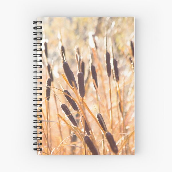 Item preview, Autumn Cattails in the Sunlight designed and sold by Ollivrosa.