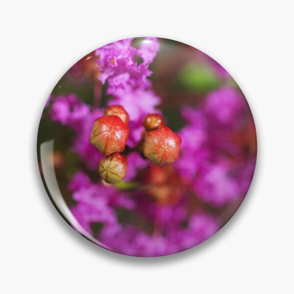 Item preview, Crepe Myrtle Pink And Has Buds designed and sold by Joy Watson - Natural Light Photography .