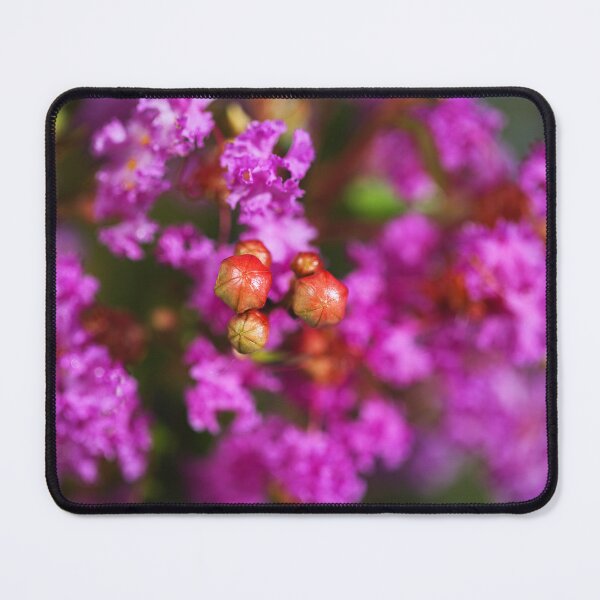 Item preview, Crepe Myrtle Pink And Has Buds designed and sold by Joy Watson - Natural Light Photography .
