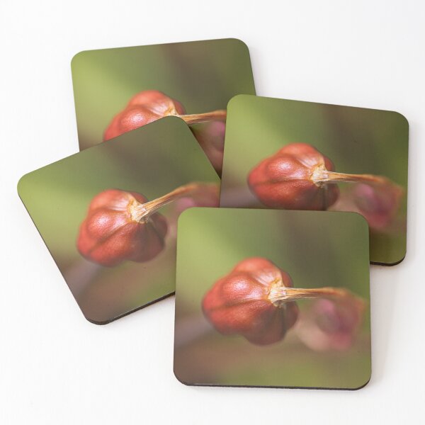 Item preview, Lily Flower Seed Pod Red  designed and sold by Joy Watson - Natural Light Photography .