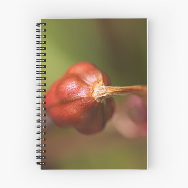 Item preview, Lily Flower Seed Pod Red  designed and sold by Joy Watson - Natural Light Photography .