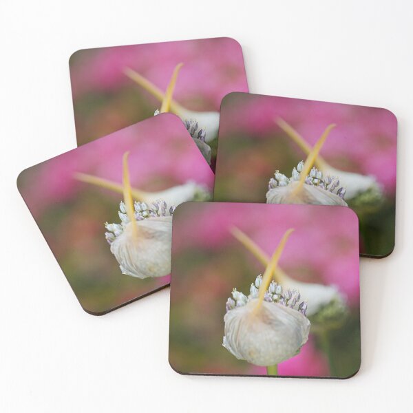 Item preview, Garlic Flower Has A Shadow designed and sold by Joy Watson - Natural Light Photography .