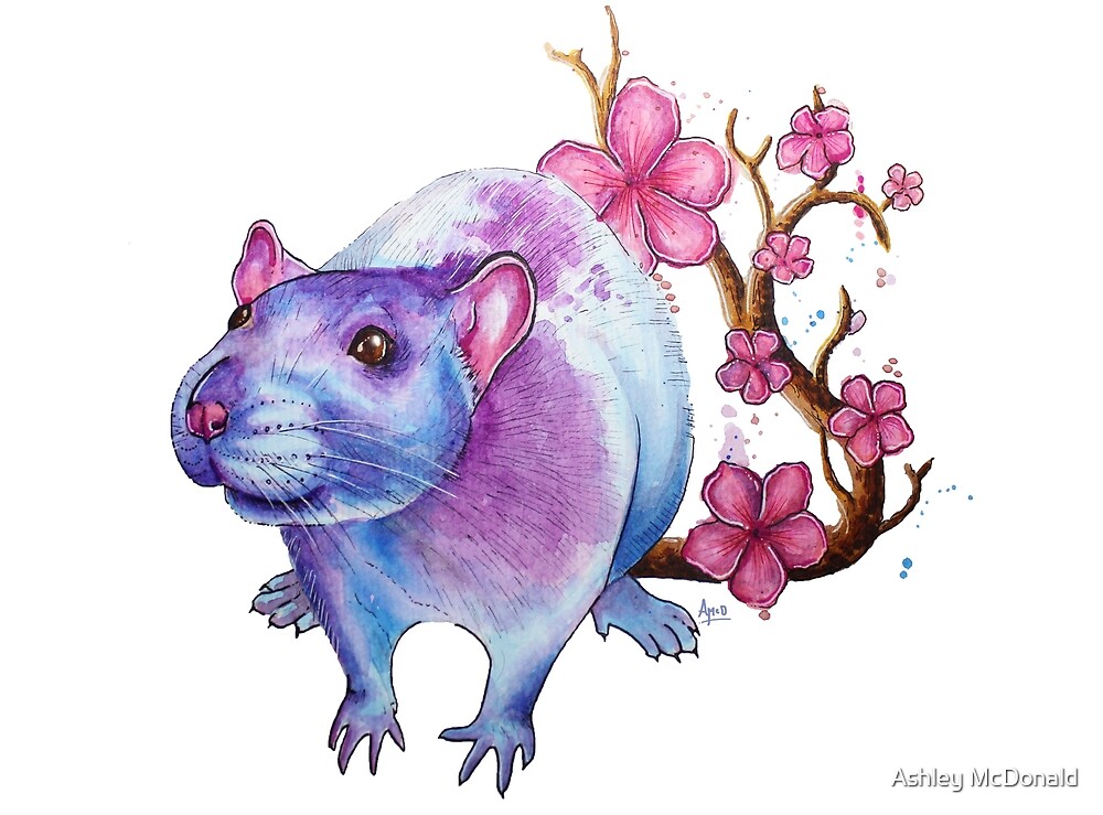 "'Blossom Rat' Watercolor Artwork" by Ashley McDonald Redbubble
