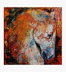 War Horse Photographic Print