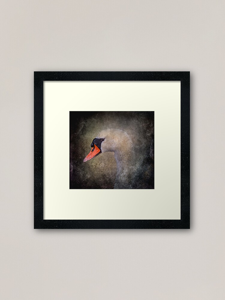 Alternate view of Mute Swan Framed Art Print