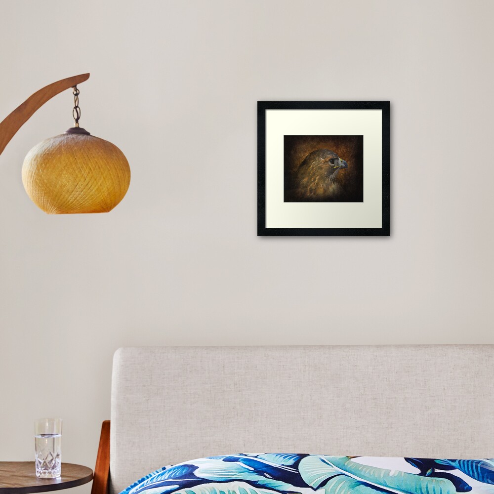 Red Tailed Hawk Framed Art Print