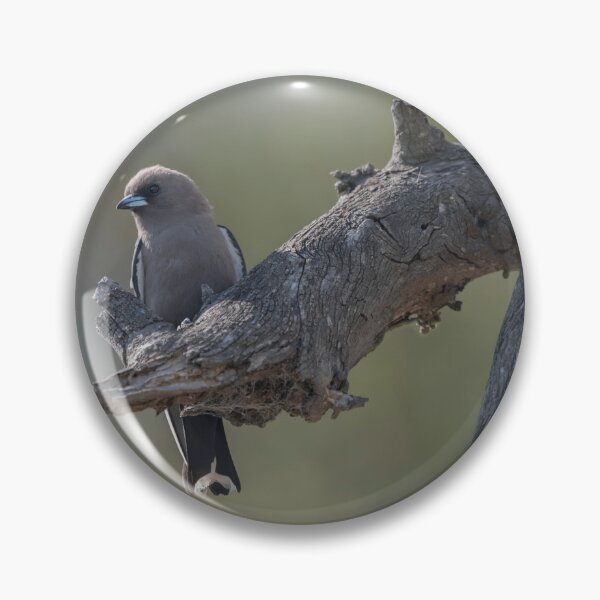 Item preview, Dusky Woodswallow designed and sold by Puttaswamy Ravishankar.