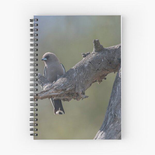 Item preview, Dusky Woodswallow designed and sold by Puttaswamy Ravishankar.
