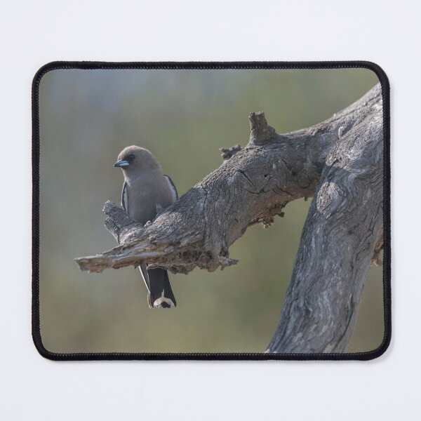 Item preview, Dusky Woodswallow designed and sold by Puttaswamy Ravishankar.