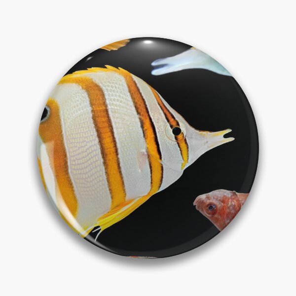 Item preview, Swimming Fish Species designed and sold by amy_prints.