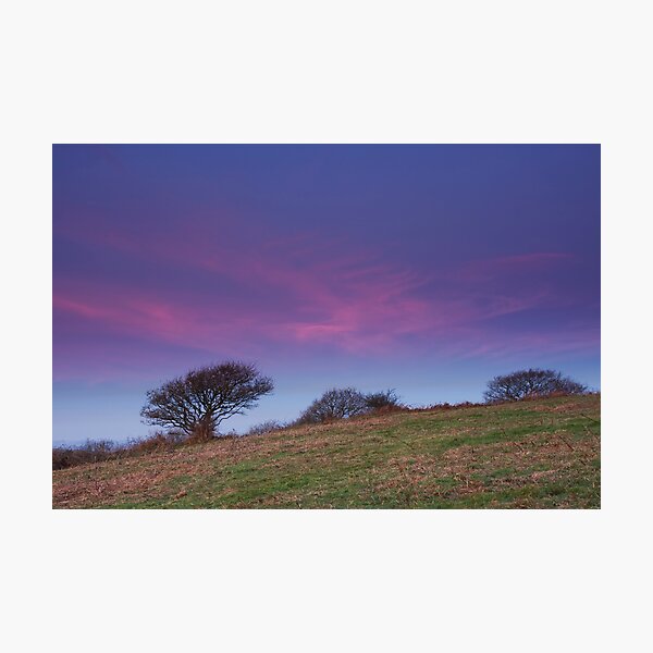 Glow Above the Tree Photographic Print