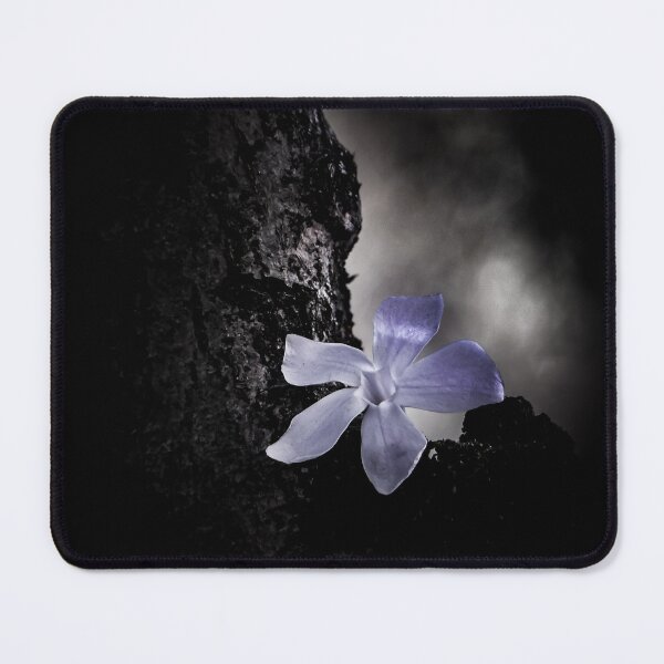 Item preview, White flower designed and sold by NBKdesign.