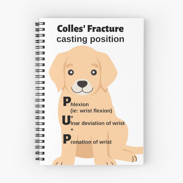 Item preview, Colles Fracture Casting Position Mnemonic: PUP designed and sold by Caregiverology.