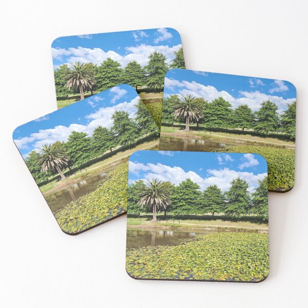 Item preview, Stunning Lake Views of Eureka Stockade Gardens  designed and sold by Michael Voyler.