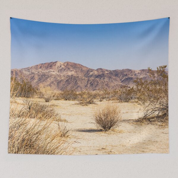 Item preview, Joshua Tree National Park View a Desert Mountain Photo V1 designed and sold by Family Journey with God.