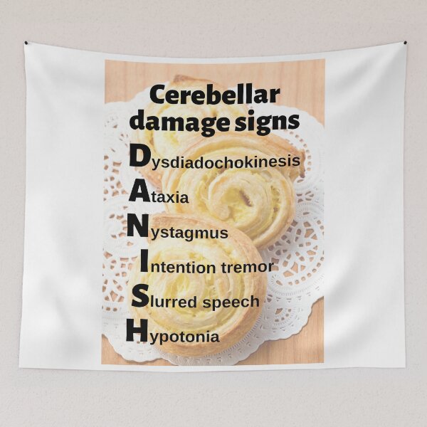 Item preview, Cerebellar Damage Signs Mnemonic: DANISH designed and sold by Caregiverology.